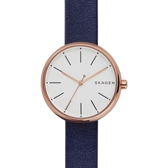 ساعت مچی اسکاژن SKW2592 - skagen watch skw2592  